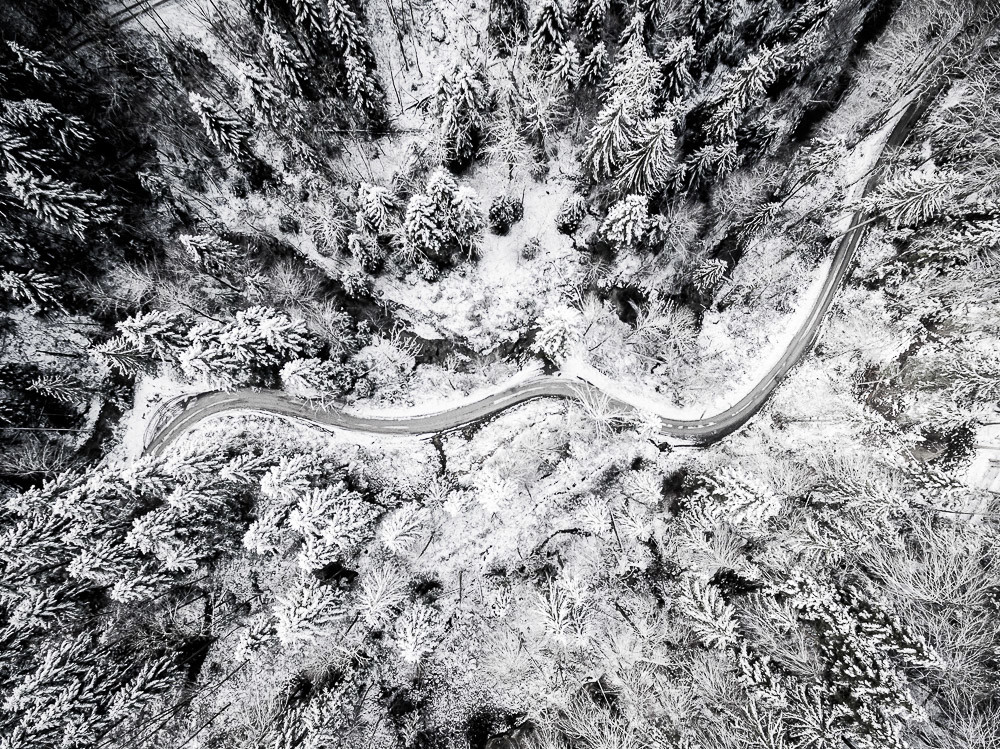 Drohnenaufnahme von einem verschneiten Wald